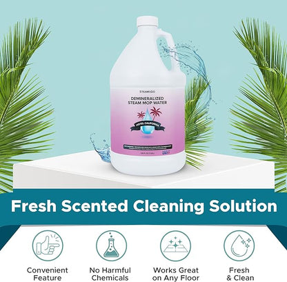 Steam & Go Demineralized Water - Multi-Surface Cleaner for Steam Cleaners, Hardwood Floors, Kitchens, & Bathrooms - Germ-Killing Formula - Hotel California Scent - 1 Gallon