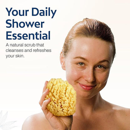 HartFelt Gentle Exfoliation Yellow Sea Sponge 4in | Natural Shower Sponges for Bathing for Men and Women | Rich Lather