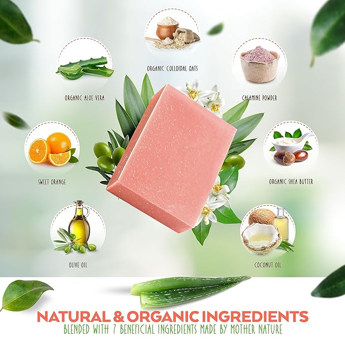 Aloe Vera & Oatmeal Soap Bar with Calamine, Natural & Organic Ingredients - Organic Aloe Vera & Colloidal Oats. Face & Body - for Men, Women & Teens. Gentle Body Wash. 4.5 oz Bar (Pack of 2)