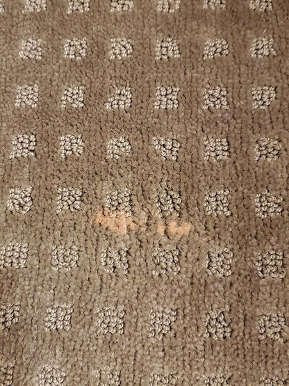 Bleachstain® Precision Carpet Spot Dye Kit | Bleach Stain Repair Kit | for Spots and Drips Smaller Than Pea Size | for Medium Beige, Gray, tan