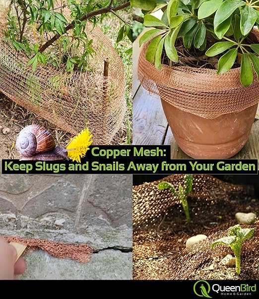QueenBird Copper Mesh Rodent Control – 5" x 30 ft Roll – 100% Pure Copper for Hole Blocking, Distilling & DIY – Includes Scissors & Tool