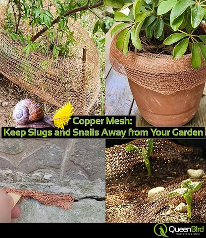 QueenBird Copper Mesh Rodent Control – 5" x 30 ft Roll – 100% Pure Copper for Hole Blocking, Distilling & DIY – Includes Scissors & Tool
